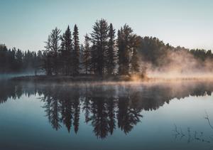 foggy-lake-tree-reflection